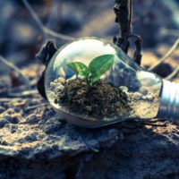 bright-bulb-close-up-1108572